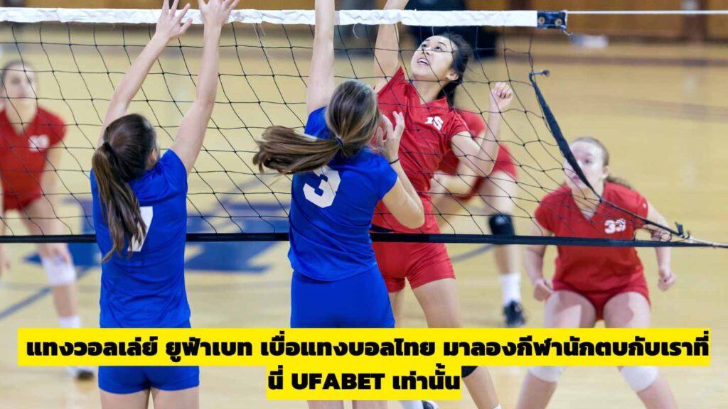 แทงพนันวอลเลย์บอลยูฟ่า เส้นทางใหม่ของคอกีฬา ที่อยากเปิดมุมมองการเดิมพันให้สนุกและคุ้มค่ามากขึ้น
