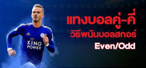 แทงบอลคู่คี่