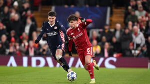 หงส์ทรุดไม่ฟื้น